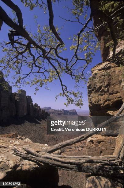 Tigray landscapes in Tigray, Ethiopia - On the way to Abuna Yemata Guh, an exquisite rock church situated in the cliffs of this photo.