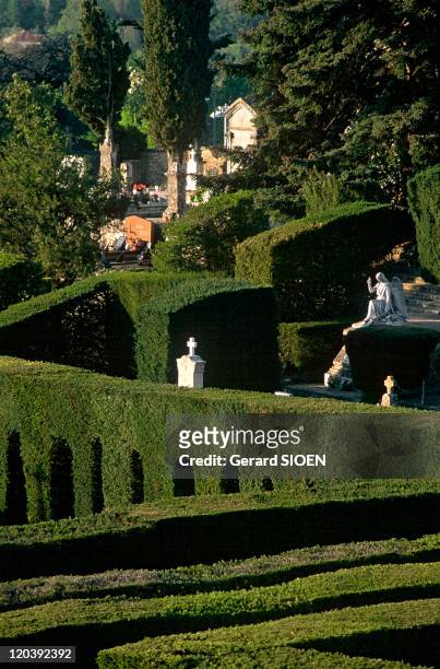 The cemetery of Forcalquier in France - It is planted with yew trees trimmed in bushy hedges, which gives it the feel of an initiatory labyrinth.