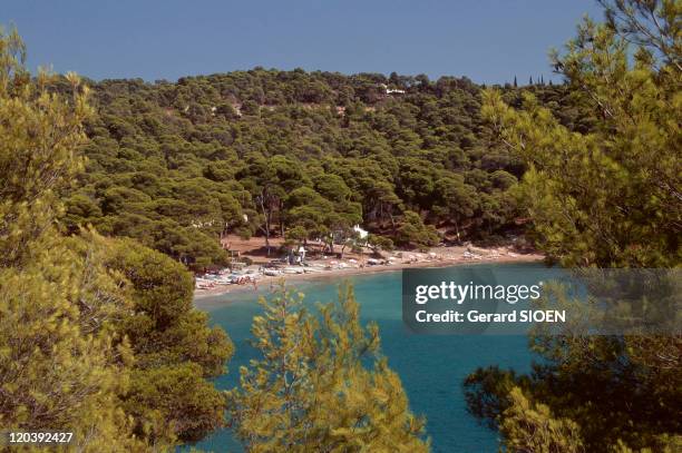 Beach in Saronic Islands, Greece - Spetses Island, Paraskevi beach, vacationers.