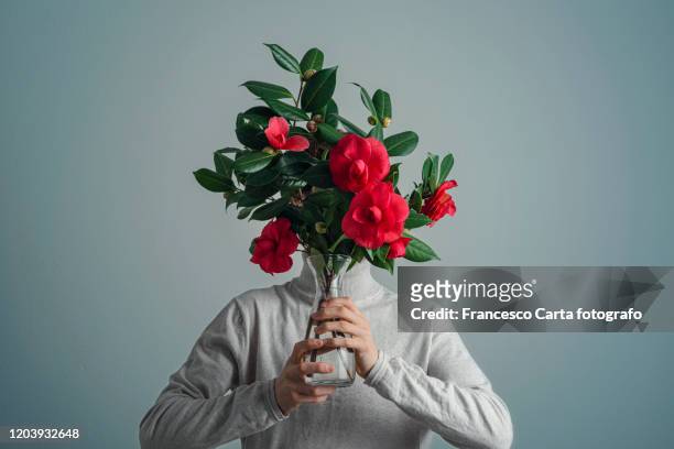 flower bouquet - capolino foto e immagini stock