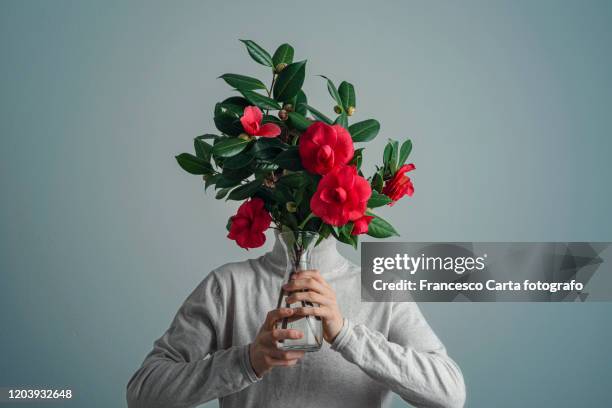 flower bouquet - cabeça da flor - fotografias e filmes do acervo