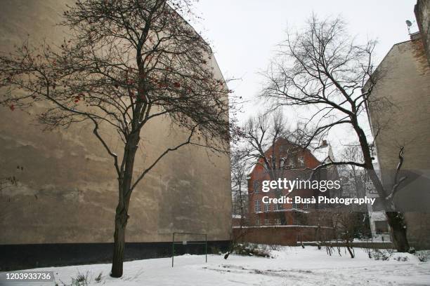 bare winter tree against rear facade of residential building in berlin, germany - storm outside window stock pictures, royalty-free photos & images