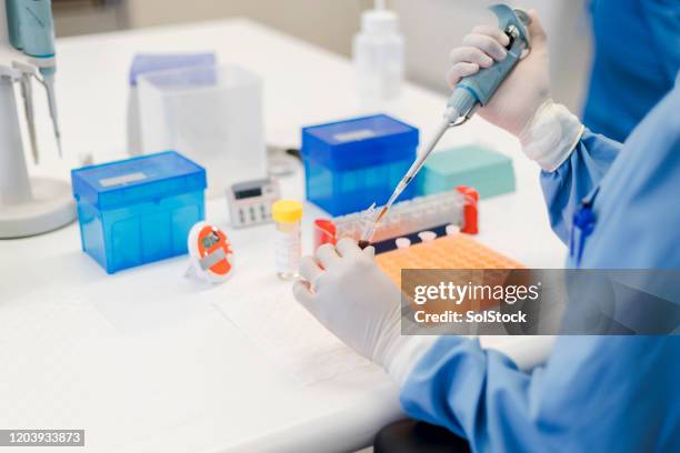 scientist uses pipette to collect sample - drug testing lab stock pictures, royalty-free photos & images