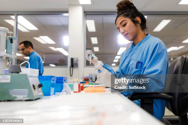 medizinerin mit pipette zum sammeln von proben - immunologie stock-fotos und bilder