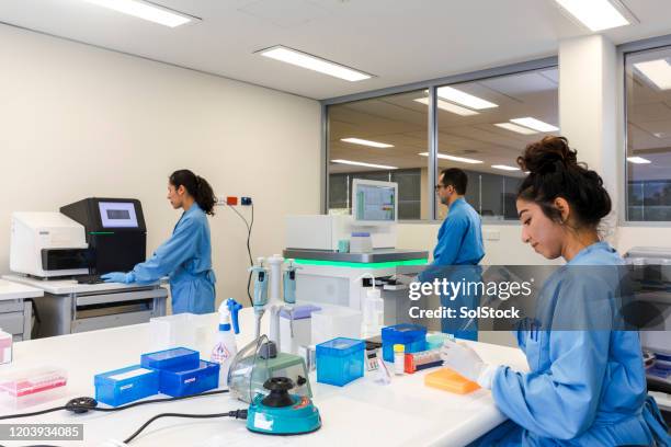 diverse team of medical scientists in laboratory - drug testing lab stock pictures, royalty-free photos & images