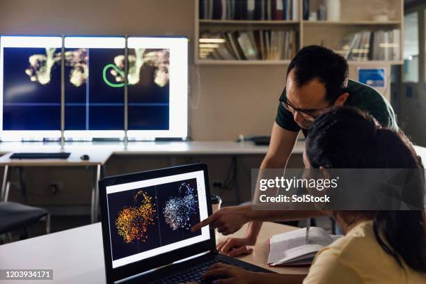 two colleagues discuss presentation - physics experiment stock pictures, royalty-free photos & images