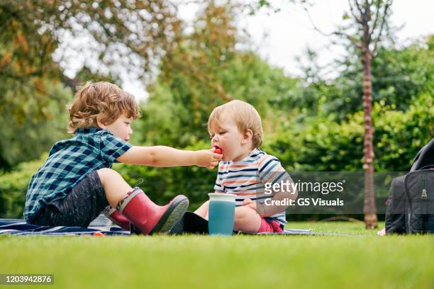 brothers sharing food in park - toddler food stock pictures, royalty-free photos & images