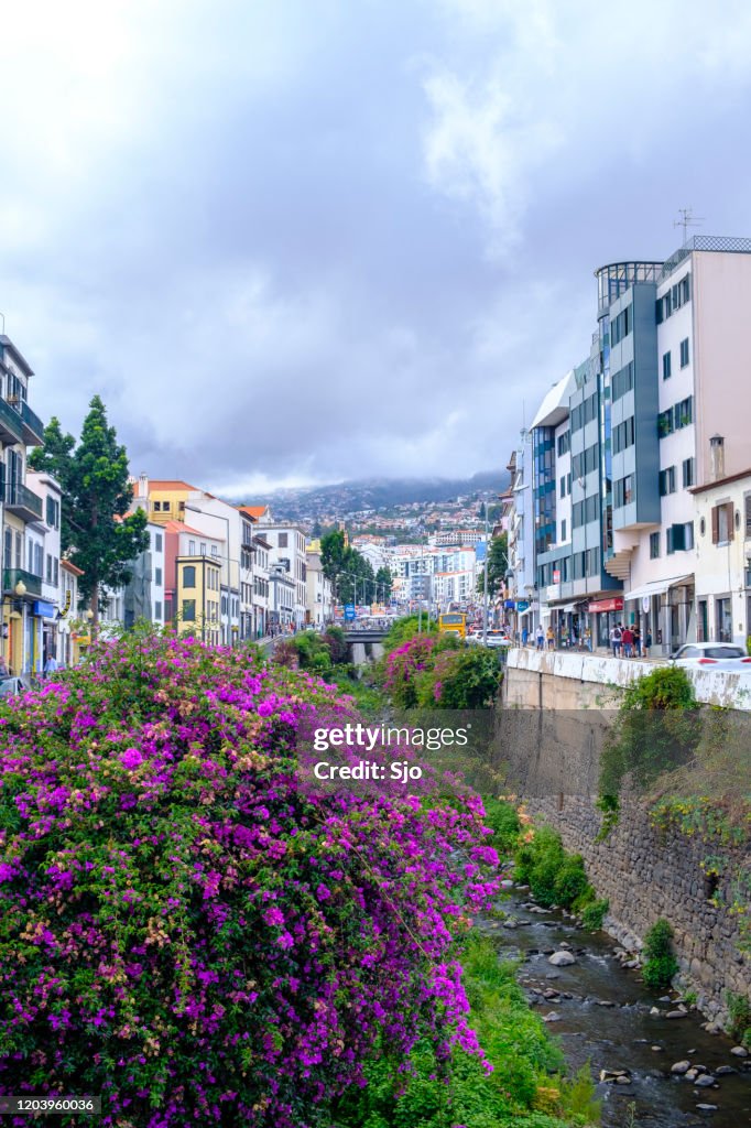 Rua de Janeiro junto a la Ribeira de Santa Luzia en Funchal en la isla de Madeira durante el día de verano