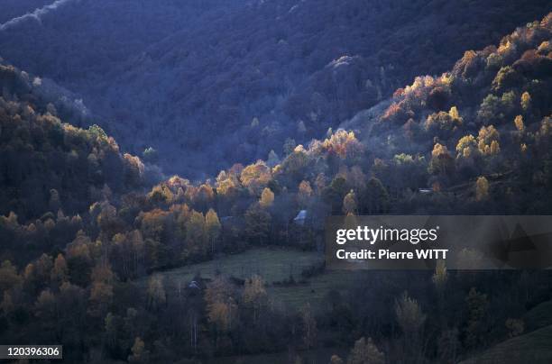 Blague valley, Ariege, Pyrenees, France.