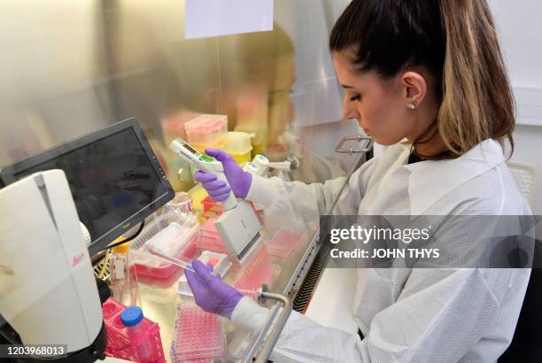 Level Ii Laboratory 71 Rega Institute Stock Photos, High-Res Pictures, and Images - Getty ...