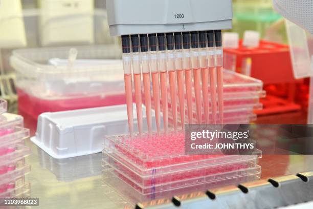Level Ii Laboratory Biosafety Level 2 Laboratory Photos and Premium High Res Pictures ...