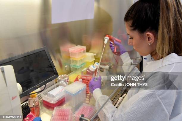 Level Ii Laboratory 71 Rega Institute Stock Photos, High-Res Pictures, and Images - Getty ...