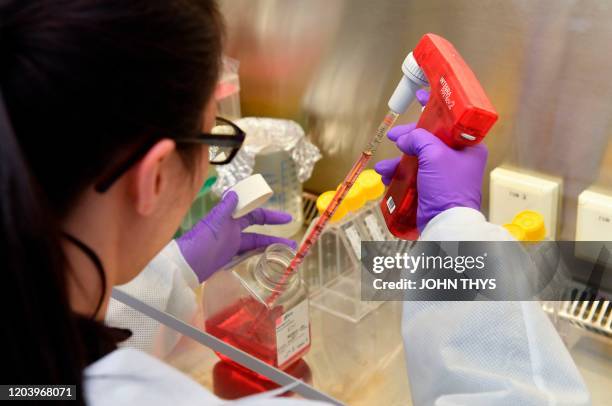 Level Ii Laboratory 71 Rega Institute Stock Photos, High-Res Pictures, and Images - Getty ...