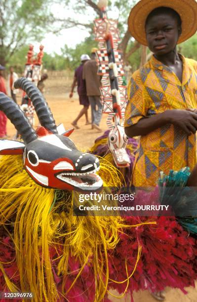 Festival of masks in Bobo country in Burkina Faso - Antelope mask.