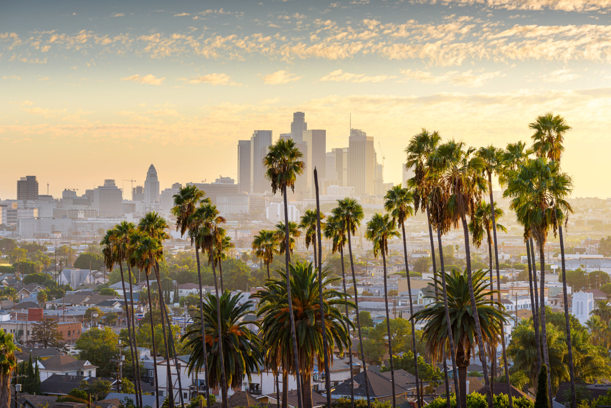 california business