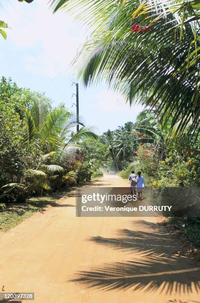 Children going to school in Sainte Marie island, Madagascar - In the village of Vohilava.