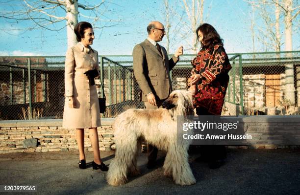 Mohammed Zahir Shah, the last King of Afghanistan, with his wife Hamira Begum and his afghan hound at his Palace in January 1972 in Kabul,...