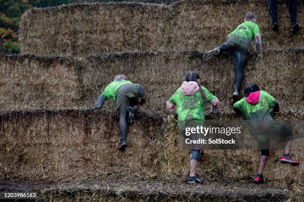 lascia colpire il team di fieno - resilienza foto e immagini stock