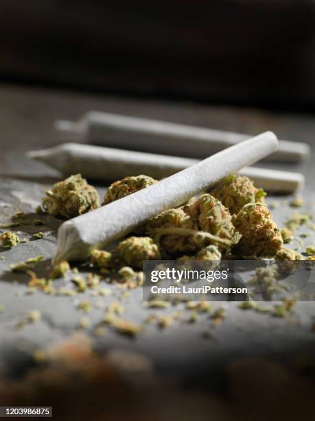 vorgerollte marihuana joints - marijuana joint stock-fotos und bilder