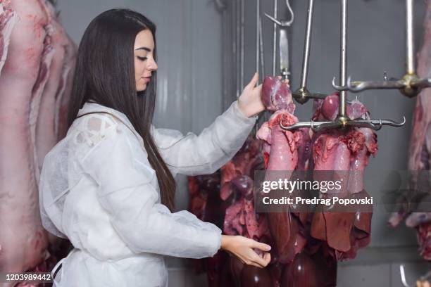 female butcher sorting livers hanged on hooks in slaughterhouse - offal stock pictures, royalty-free photos & images