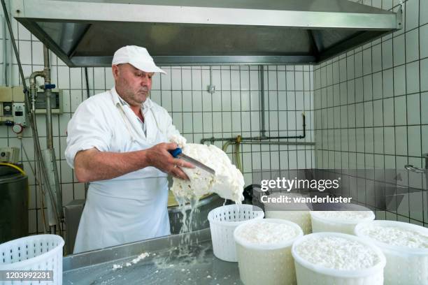 Cheese Inside Factory 349 Inside An Italian Cheese Factory Stock Photos, High-Res Pictures ...