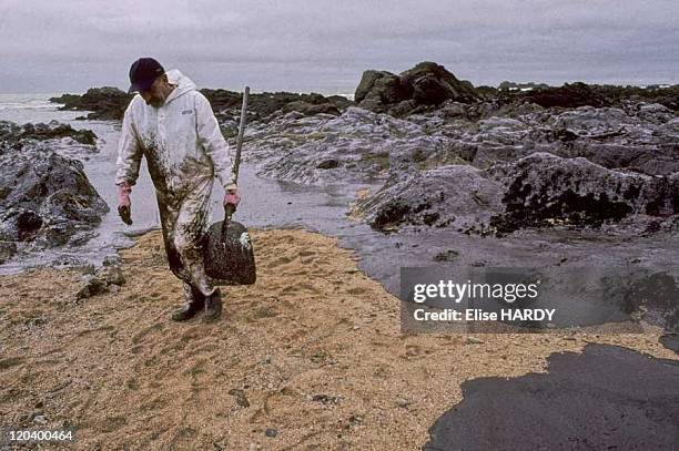 The Erika oil spill in France on January 02, 2000 - on the wild coast of Brittany.