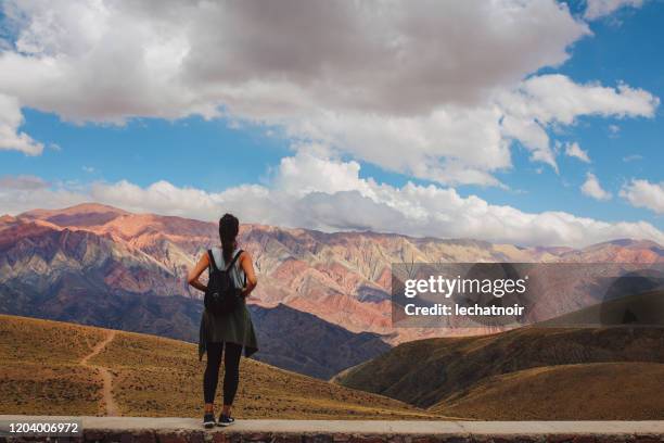 tourist woman in the mountains of argentina - salta argentina stock pictures, royalty-free photos & images