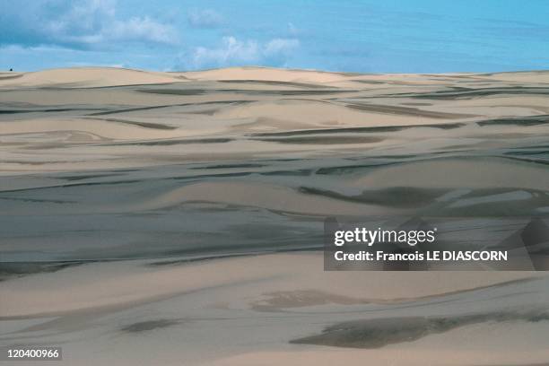 West Coast In Route 101 In Oregon, United States In 1997 - Route 101, called also in some parts Route 1-Dunes after rainfall, Oregon Dunes National...