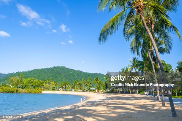 airlie beach, queensland, australia - cairns australië stockfoto's en -beelden