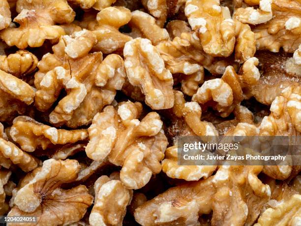 walnuts background - nozes imagens e fotografias de stock