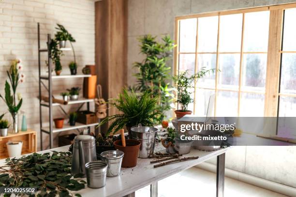 plantas en macetas y equipo de jardinería sobre la mesa - flower shop fotografías e imágenes de stock