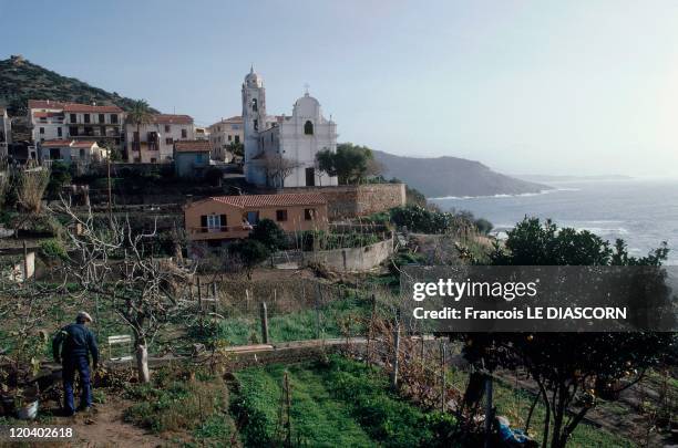 Corsica in Cargese, France - General view of the town of Cargese with its Catholic church.