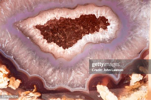 agate geode slice - estrato de roca fotografías e imágenes de stock