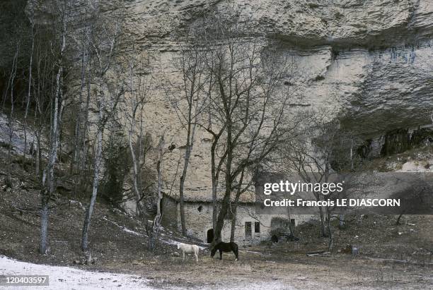 Vercors, France - A farm encircled by the Glandasse cliffs near Chatillon-en-Diois, with a black horse. In the Vercors region of France .