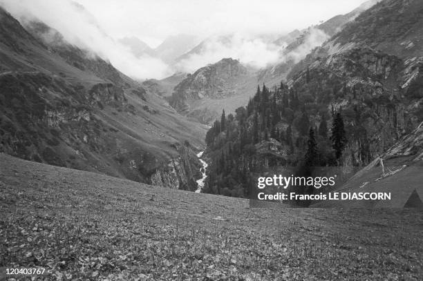 Pahalgam, India - A landscape in Kashmir near Pahalgam.