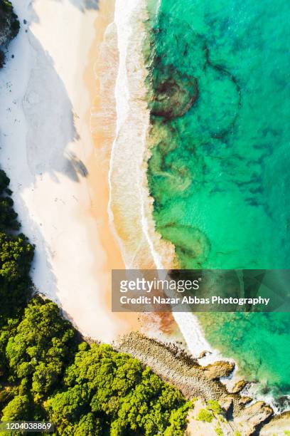 artistic view of beautiful beach. - halbinsel coromandel peninsula stock-fotos und bilder