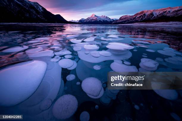 ice bubble and sunrise at abraham lake - frozen and blurred motion stock pictures, royalty-free photos & images