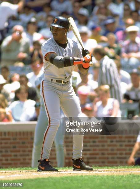 Barry Bonds of the San Francisco Giants bats during an MLB game at Wrigley Field in Chicago, Illinois. Bonds played for 22 years with 2 different...
