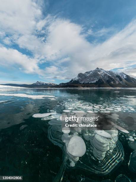 ijsbel en zonsopgang bij het meer van abraham - abraham lake stockfoto's en -beelden