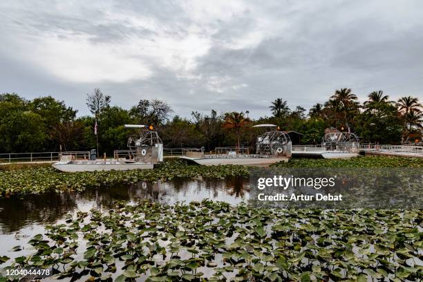 airboats in the wetlands of the everglades national park. - everglades national park fotografías e imágenes de stock