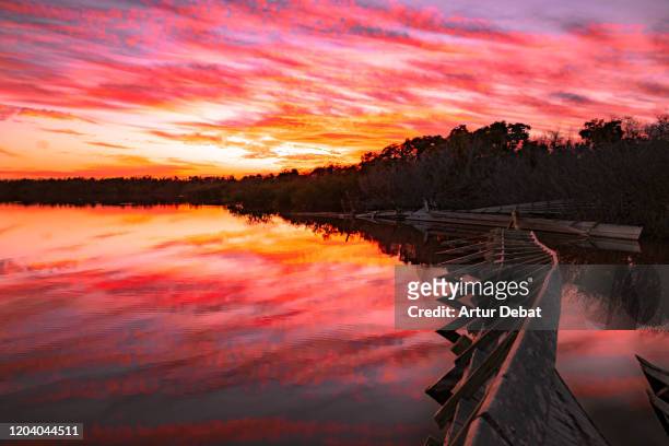 beautiful sunset sky with water reflection in the everglades national park. - romantic sky stock pictures, royalty-free photos & images