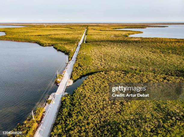 drone view of the florida keys highway between the mangroves trees in infinite landscape. - the florida keys stock pictures, royalty-free photos & images