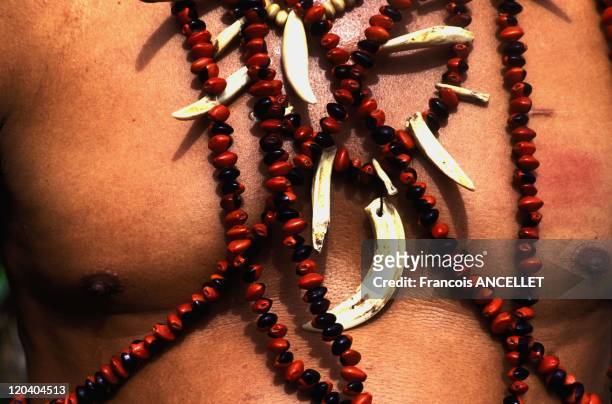 The world of Jivaro Indians in Ecuador in 1991 - Shaman necklace: panther teeth, magic grains- Shuar ethnic group- Ecuadorian Amazon.