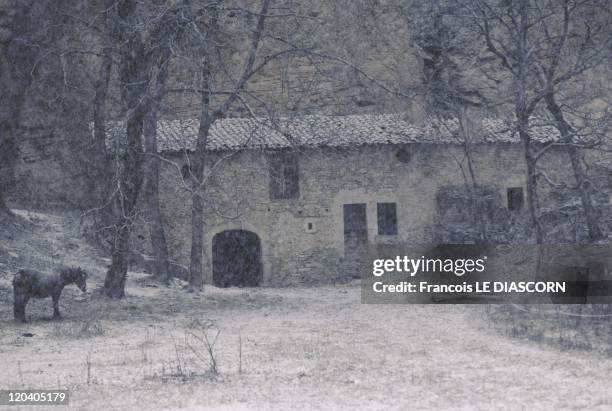 Vercors, France - A farm encircled by the Glandasse cliffs near Chatillon-en-Diois, with a black horse in the snow. In the Vercors region of France.