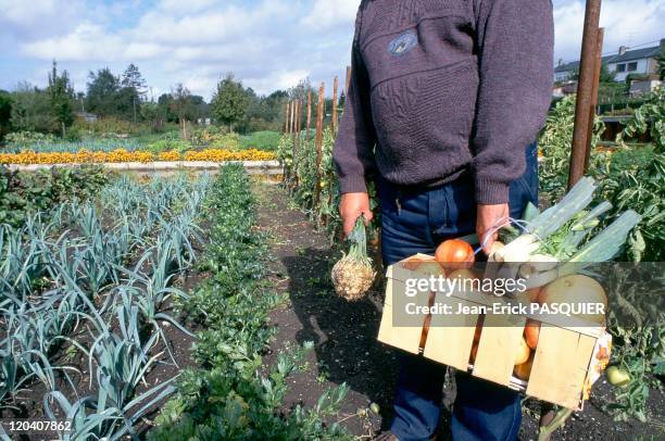 Gardeners Of The Floating Gardens In Amiens, France In 1995.