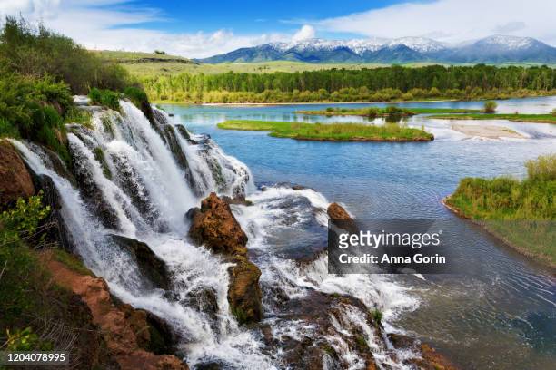 fall creek falls running into snake river in spring in swan valley, idaho - snake river stock-fotos und bilder