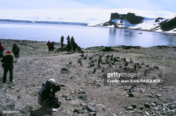 Tourism In Antarctica - Around a millions Chinstrap penguins live in Antarctic-Very few visitors have access to the small Half Moon island located...