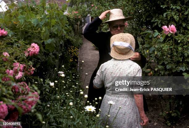 The Priest And The Roses In France In 1987 - His parishioners invite him to come with joy to gather flowers in their garden to decorate his church-a...