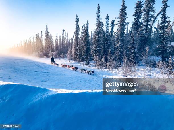 copper basin 300 alaska - iditarod race stock-fotos und bilder