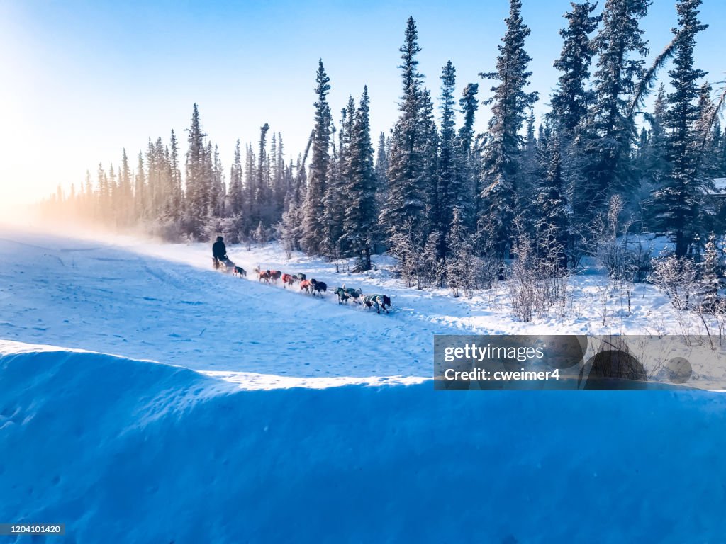 Bassin de cuivre 300 Alaska